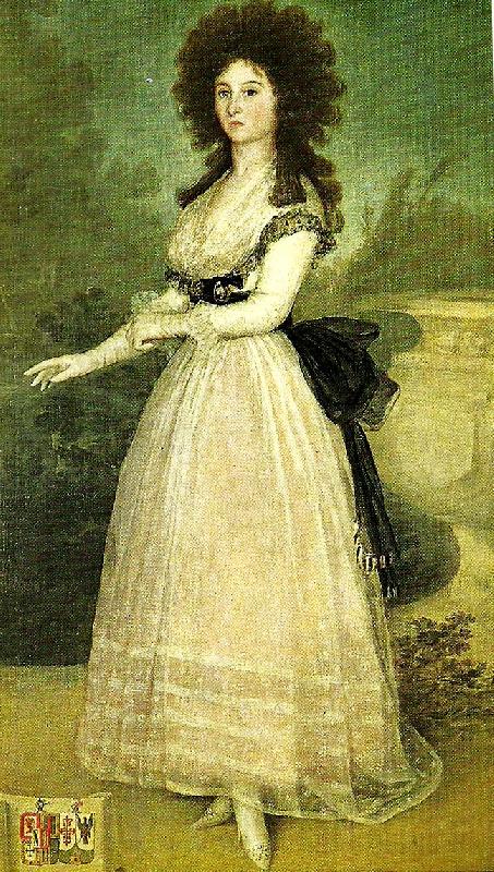 Francisco de Goya dona tadea arias de enriquez Norge oil painting art